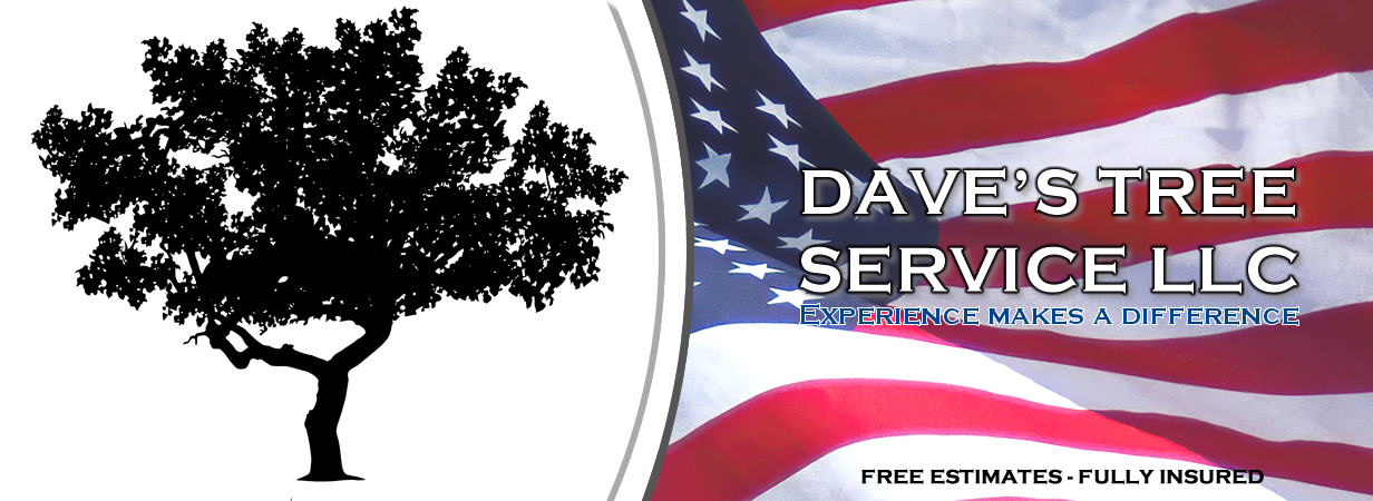 DAVE'S TREE SERVICE